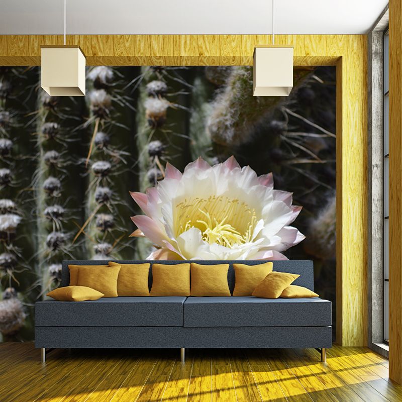 Tropical Plants Mural Decal Customized Modern Wall Covering for House Interior