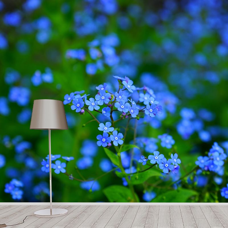Forget Me Not Flower Mural Wallpaper Personalized Size Wall Covering for Bedroom