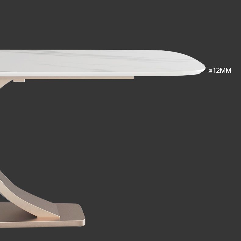 Modern Sintered Stone Dining Room Set with Rectangle Top and Pedestal Base Dining Furniture