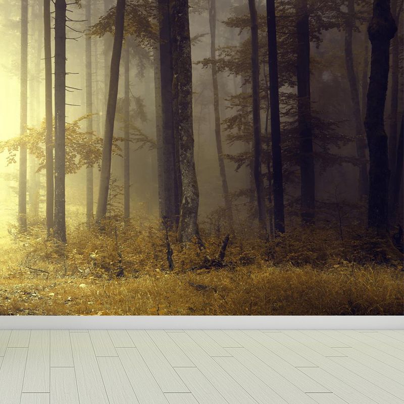 Papier peint mural de paysage de forêt brumeuse, décoration murale intissé moderne de couleur douce pour la maison