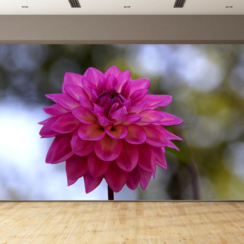 Modern Girls' Bedroom Wall Decor Blooming Flower Wall Covering, Moisture Resistant