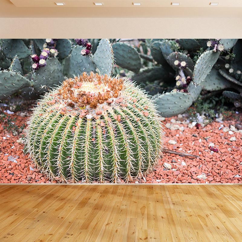 Tropical Cactus Mural Personalized Size Wall Covering for Sleeping Room