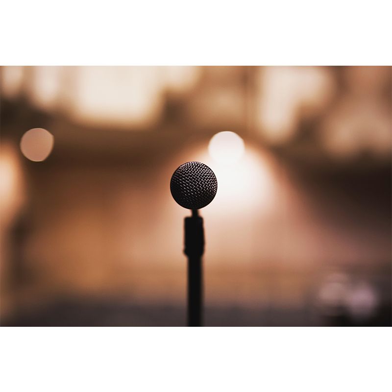 Hobby Sing Songs Mural Wallpaper Water Resistant Environment Friendly Wall Decor