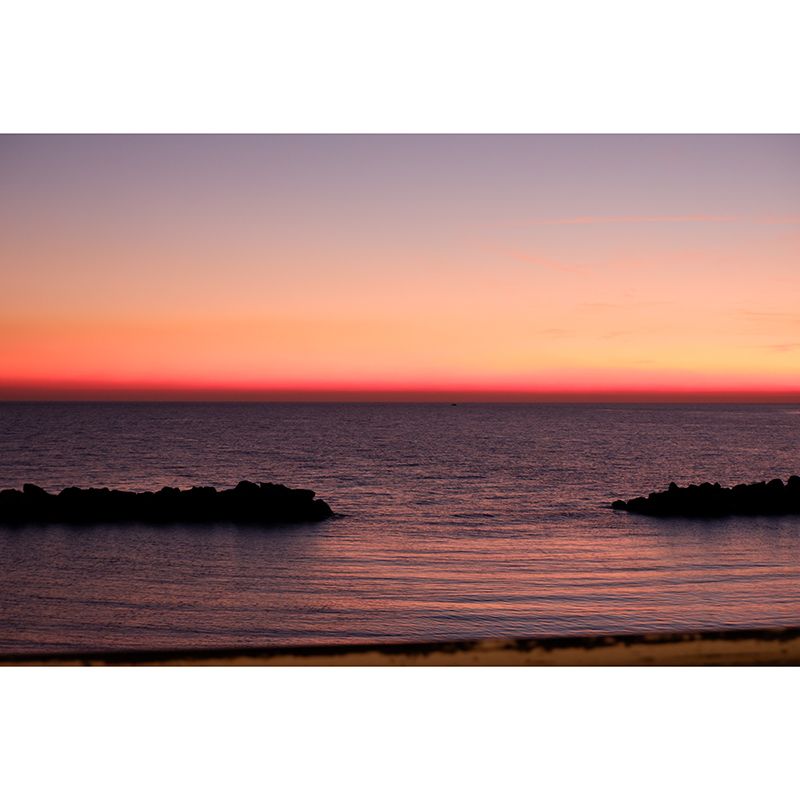 Tropical Sea Customized Mural Stain Resistant Eco-friendly Wall Art for Bathroom