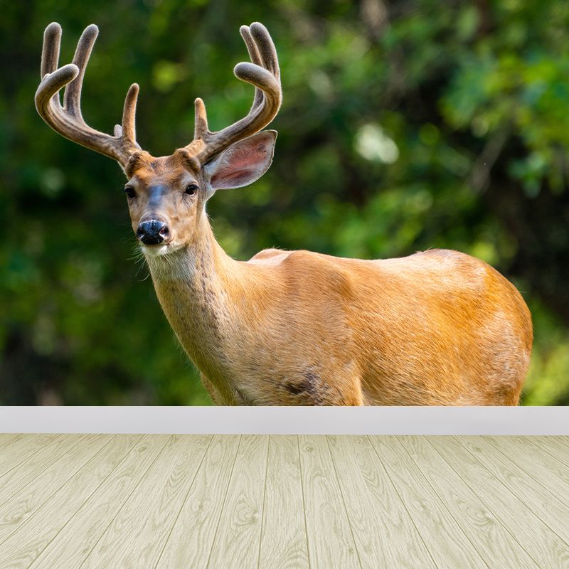 Lifelike Deer Animal Mural Moisture Resistant Living Room Wall Covering
