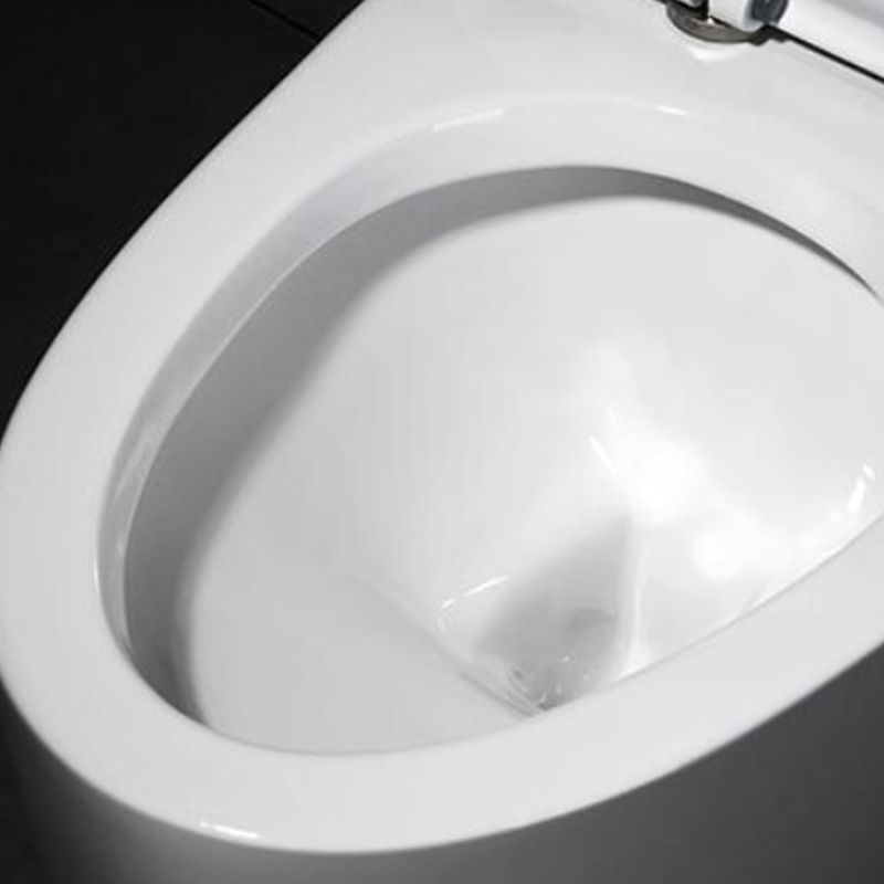 Modern Seat Included Flush Toilet One Piece Urine Toilet for Bathroom