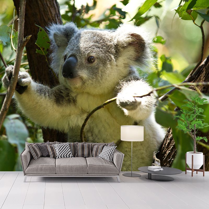 Koala Animals Mural Wallpaper Water Resistant Wall Decor for Living Room
