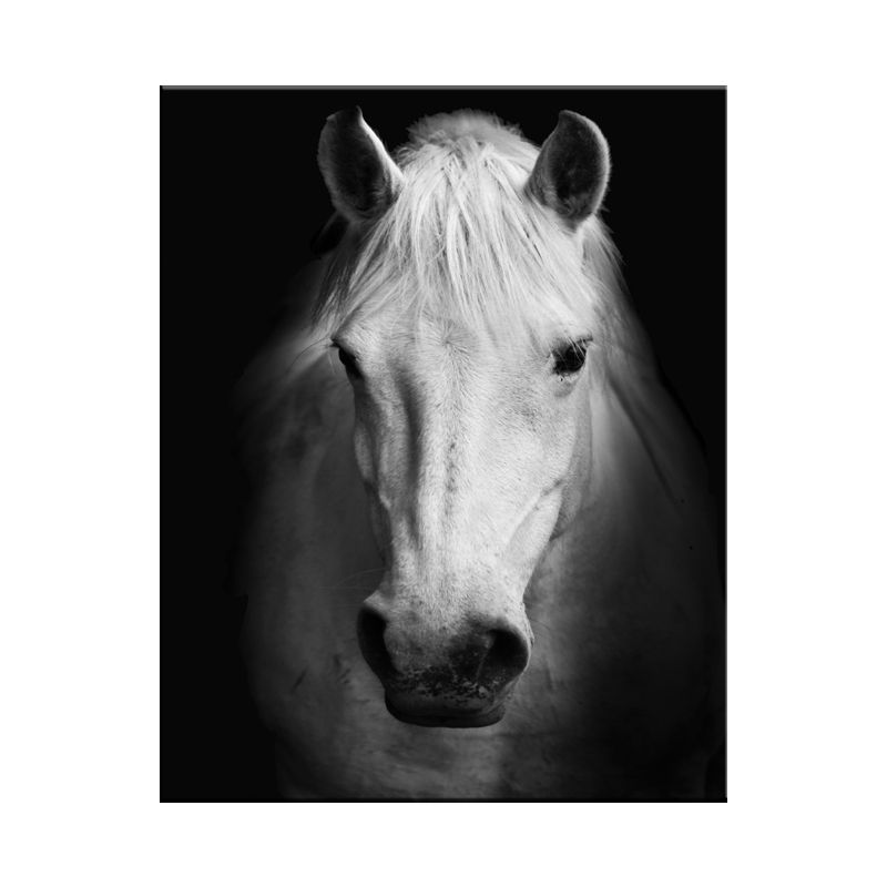 Vivid Wild Animal Wrapped Canvas Pastel Color Modern Wall Art Print for Sitting Room