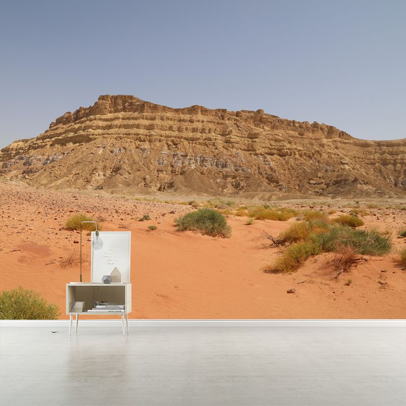 Customized Desert Mural Decorative Mildew Resistant Environmental for Bedroom