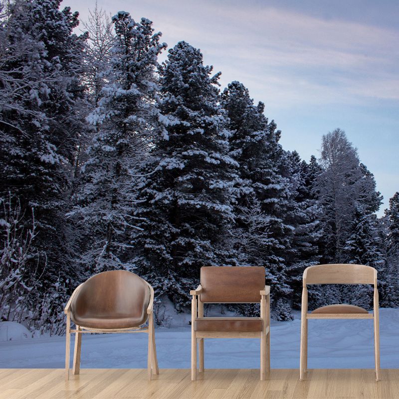 Contemporary Forest Mural Wallpaper Decorative Mildew Resistant Wall Decor