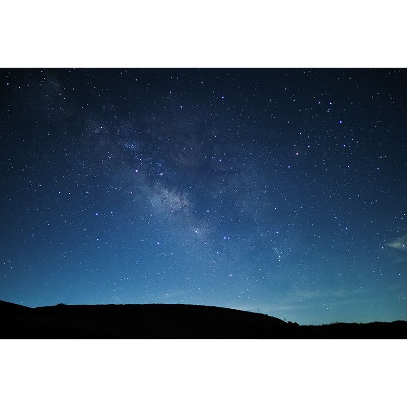 Beautiful Starry Night Mural Decal for Living Room Customized Wall Covering