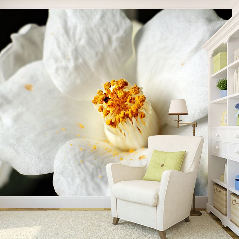 Camellia Mural Decal Contemporary Wallpaper Eco-friendly Wall Decor for Bedroom