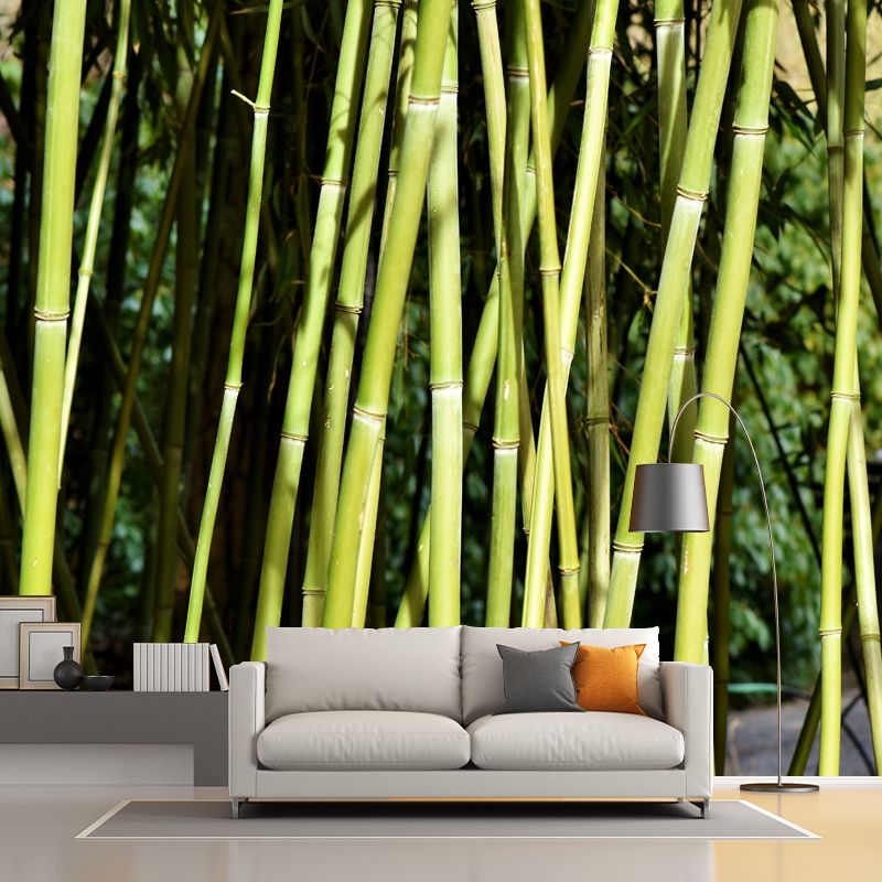 Bamboo Plant Mural Wallpaper for Sleeping Room Waterproofing, Made to Measure