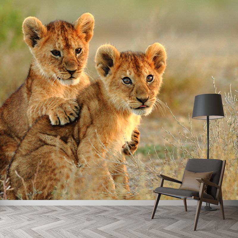Cute Young Lions Wall Mural for Accent Wall Wild Animal Print Wall Decor, Made to Measure