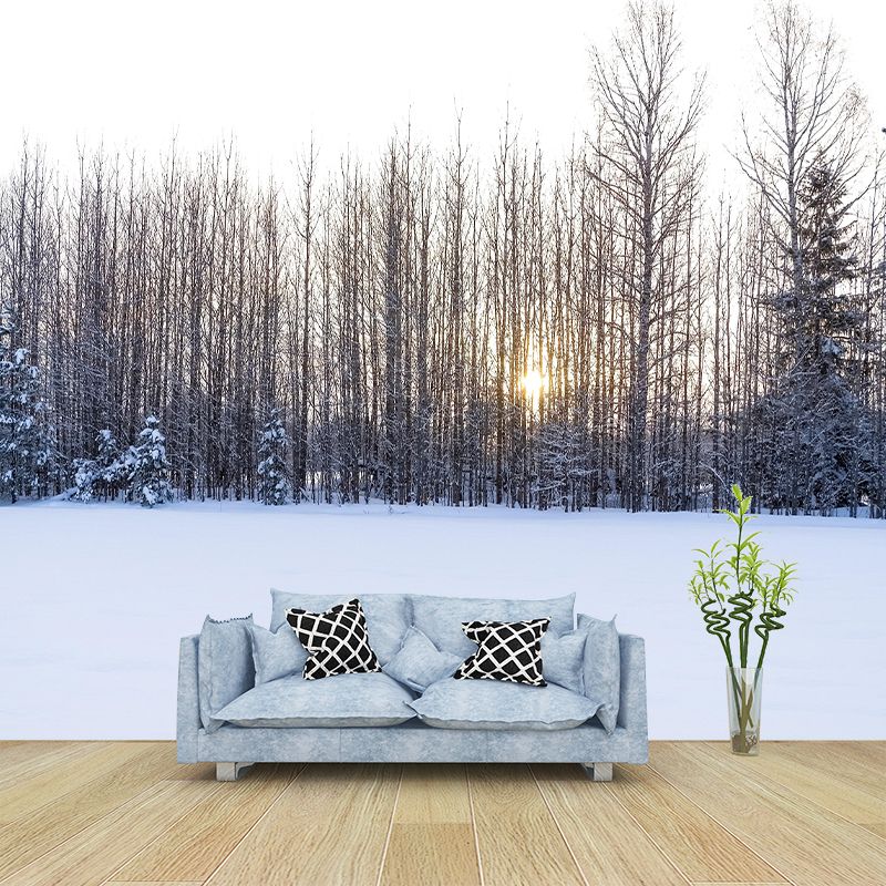Contemporary Forest Wall Mural Wallpaper Eco-friendly Wall Mural in Bright Color