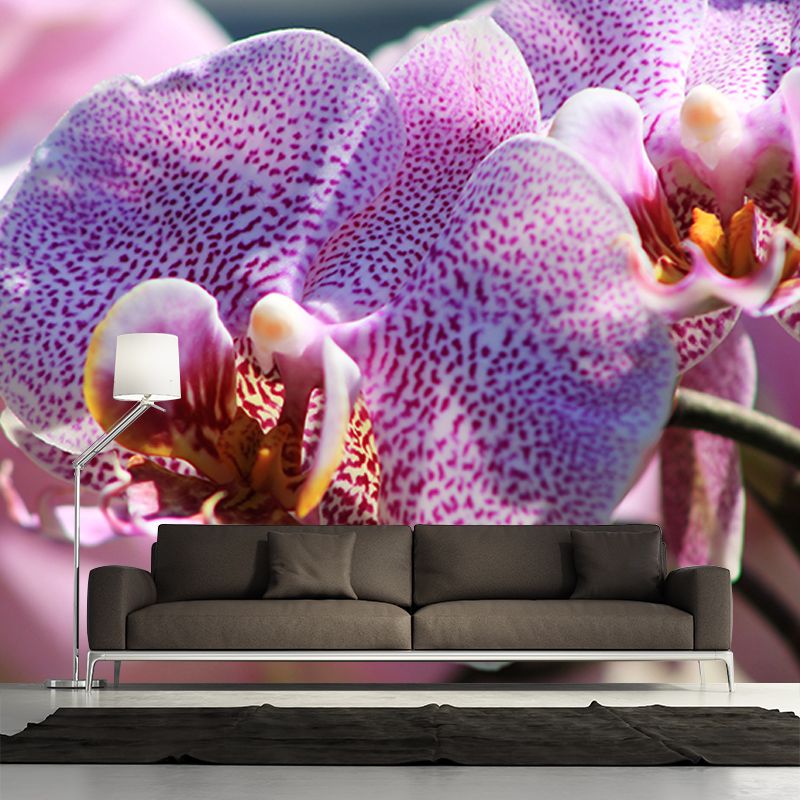 Orchid Flower Mural Wallpaper Colorful Mildew Resistant Wallpaper, Custom Size Available