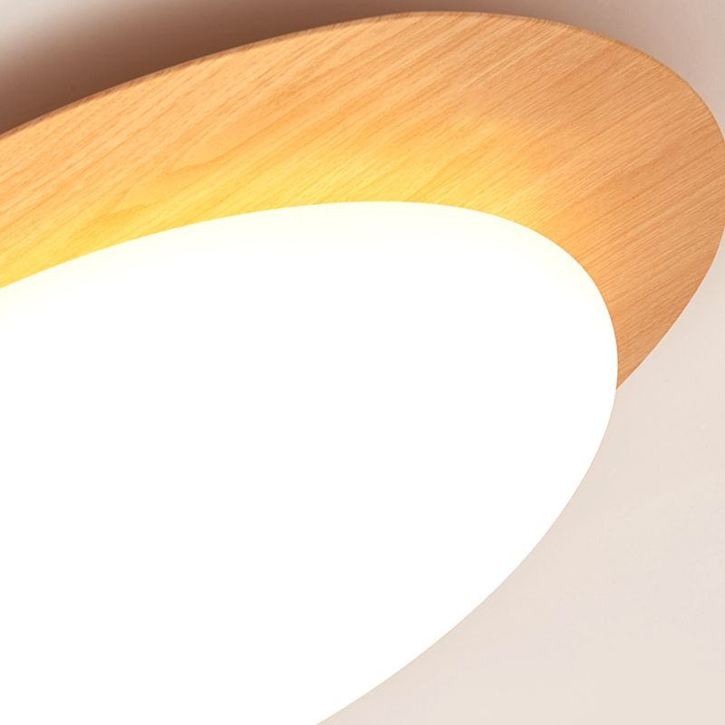 Contemporary Flush Mount Lamp Acrylic Shade Led Flush Mount for Bedroom