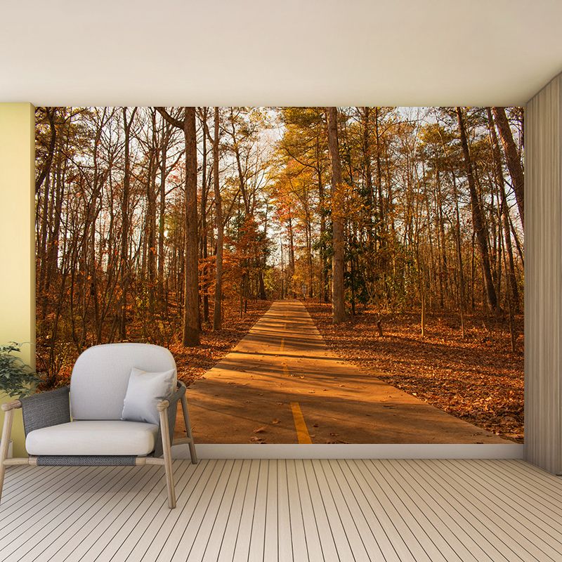 Contemporary Living Room Wall Decor Autumn Forest Mural Wallpaper, Moisture Resistant