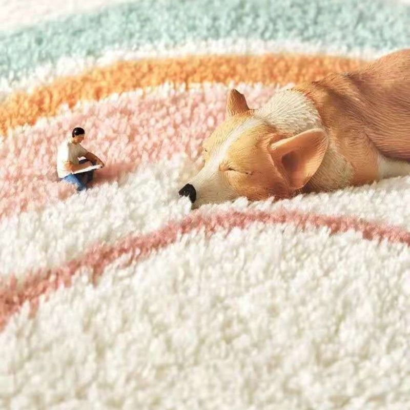 Color Block Carpet Indoor Rug Machine Washable Rug for Home Decoration