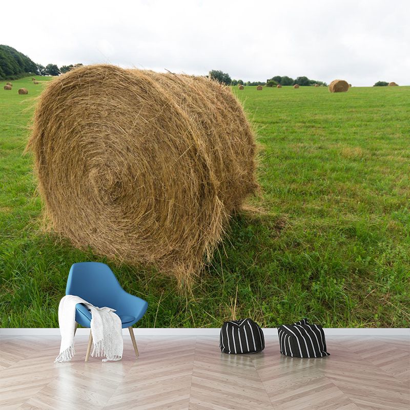 Vast Cornfield Wall Mural Contemporary Decorative Kitchen Wall Art, Custom Size Available