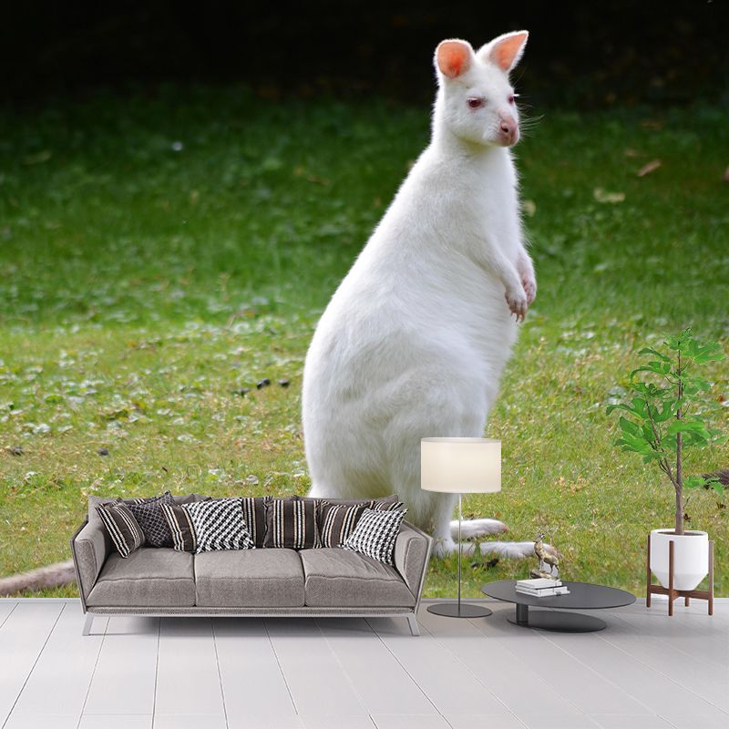 Kangaroo Contemporary Mural Decal Sitting Room Moisture Resistant Wall Decor