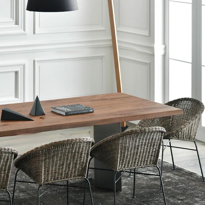 Rectangle Double Pedestal Luxury Dining Table Fixed Table with Solid Wood