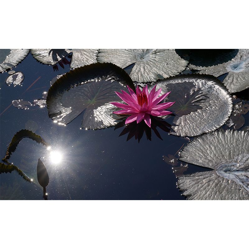 Blooming Flower Wall Mural Water-Resistant Contemporary Wall Covering for Bedroom