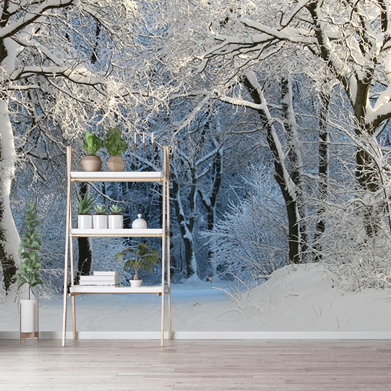 Modern Photography Mural Wallpaper Forest Living Room Wall Mural