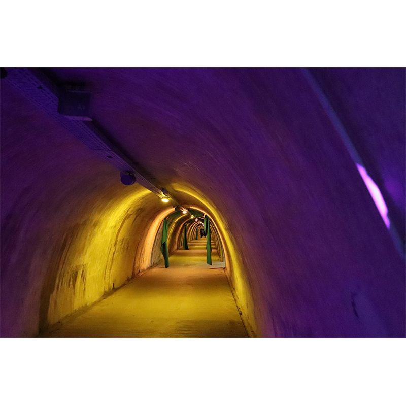 Eco-friendly Spatial Extension Mural Mildew Resistant Wallpaper for Decoration