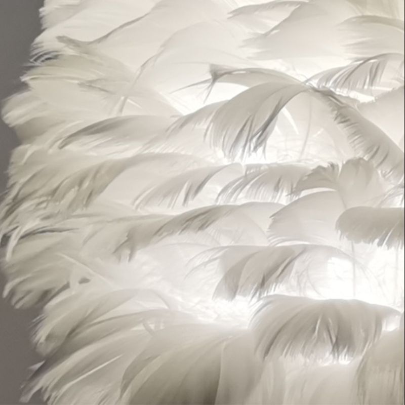 Modern Style Desk Light Colorful Feather Desk Lamp for Bedroom