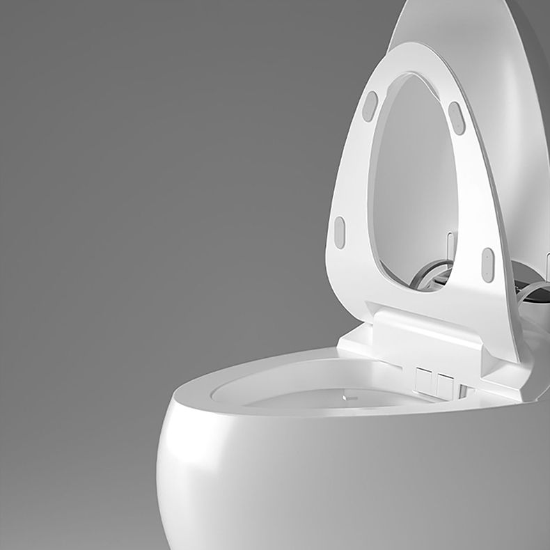 Round Floor Mount Bidet with Unlimited Warm Water Vitreous China Bidets