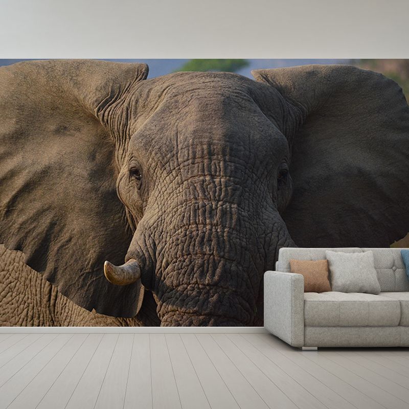 Contemporary Elephant Portrait Mural Stain Resistant Wall Art for Living Room