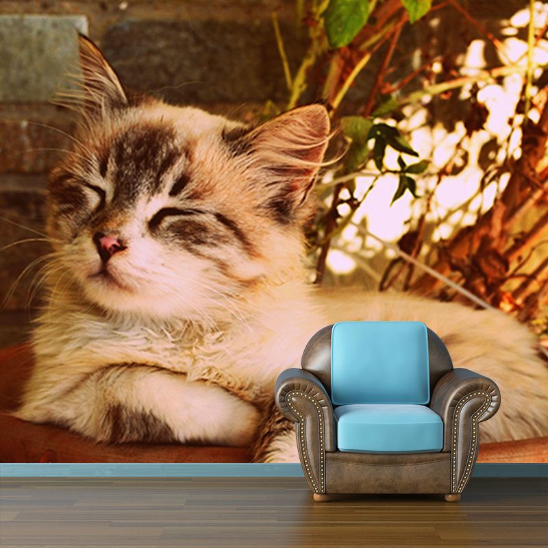 Photography Wall Mural Wallpaper Cats Sitting Room Wall Mural