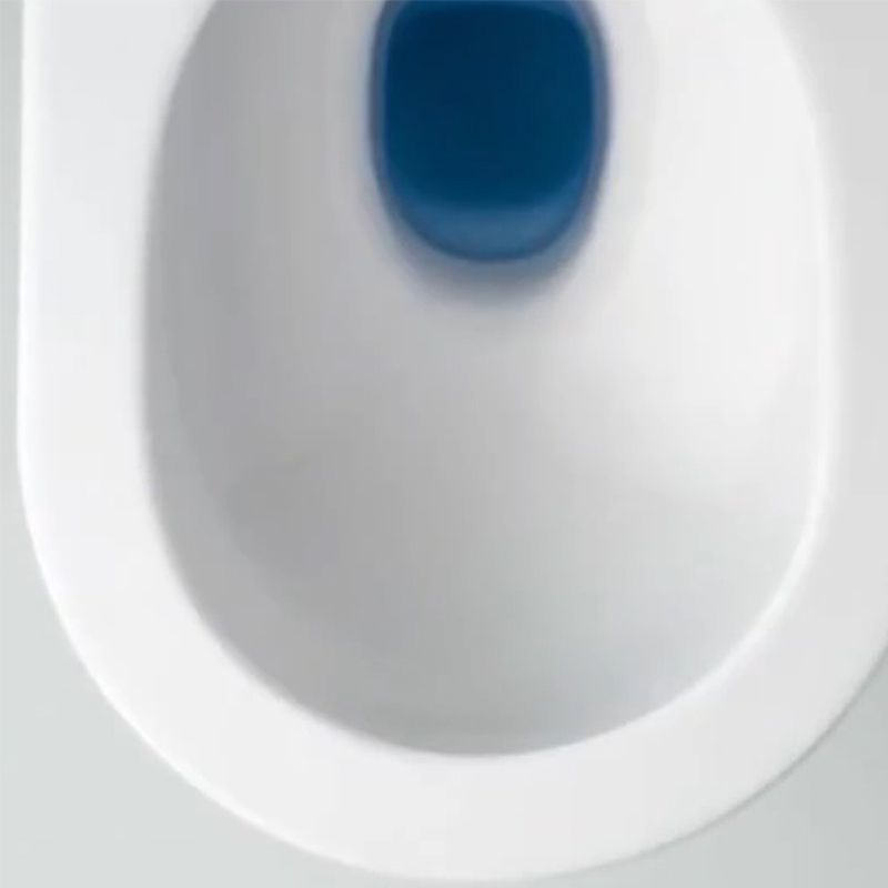 Contemporary Wall Hung Flush Toilet Ceramic Urine Toilet with Seat for Bathroom