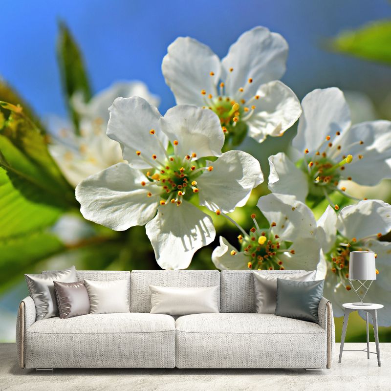 Customized Apple Blossom Mural Wallpaper Contemporary for Guest Room Decor