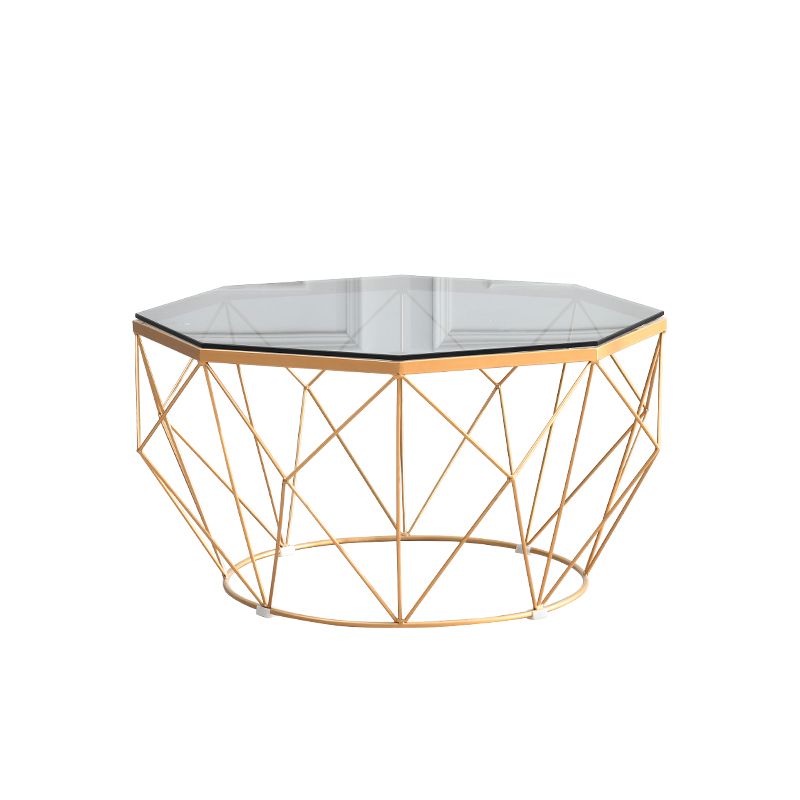 Modernism Glass Octagon Coffee Table 17.7" H Simple Iron Frame Cocktail Table
