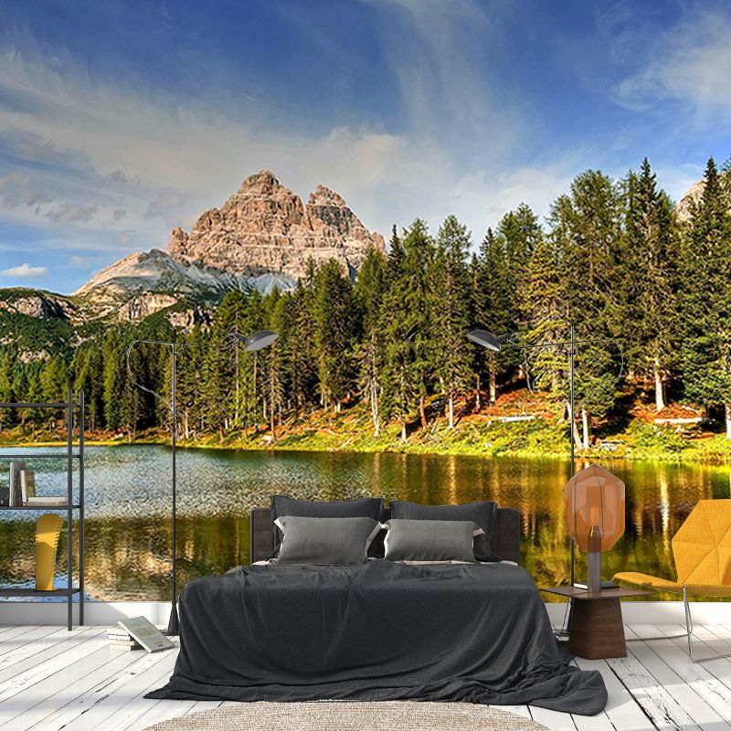 Forest Wallpaper Contemporary Photography Wall Mural Sitting Room Wall Covering