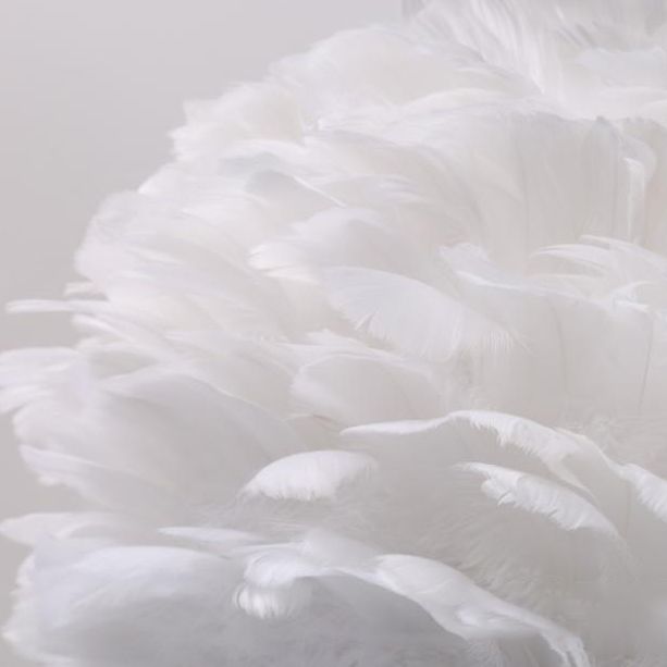 Art Deco Feather Pendant Lighting Modern Nordic Creative Globe Hanging Ceiling Light for Bedroom