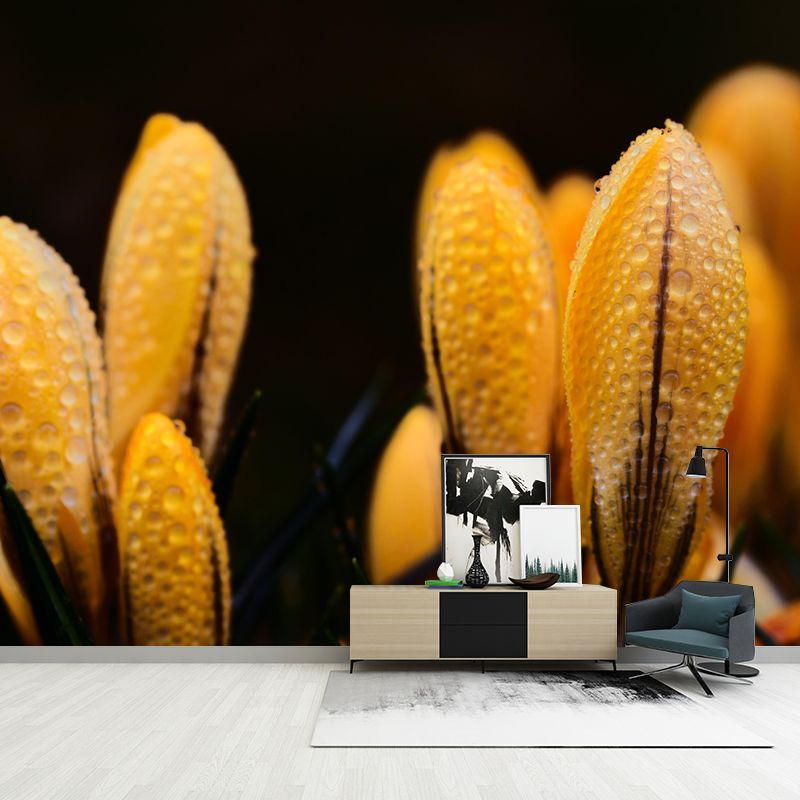 Horizontal Photography Dripping Crocus Wall Mural for Living Room Girls Women Bedroom