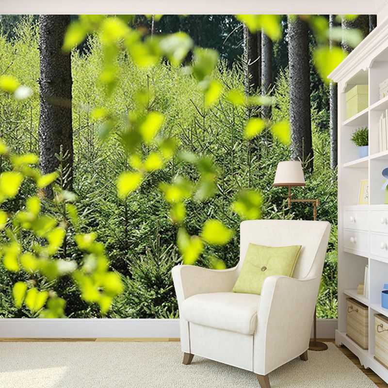 Decorative Wall Mural Wallpaper Forest Photography Sitting Room Wall Mural