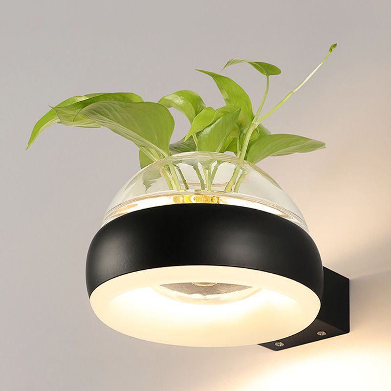 Iluminación de pared de cúpula de vidrio transparente 1 lámpara de apliques de pared LED de dormitorio de dormitorio en negro/gris/blanco con recipiente de plantas