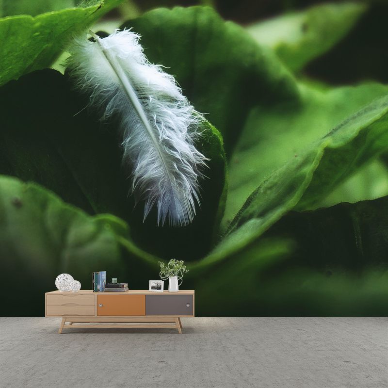 Soft Bird Feather Wall Mural Wallpaper Mildew Resistant Wall Covering for Decoration