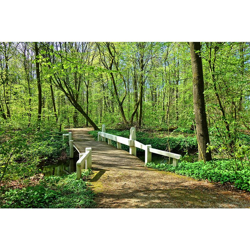 Photographic Spring Forest Mural Mildew Resistant Wall Decor for House Interior