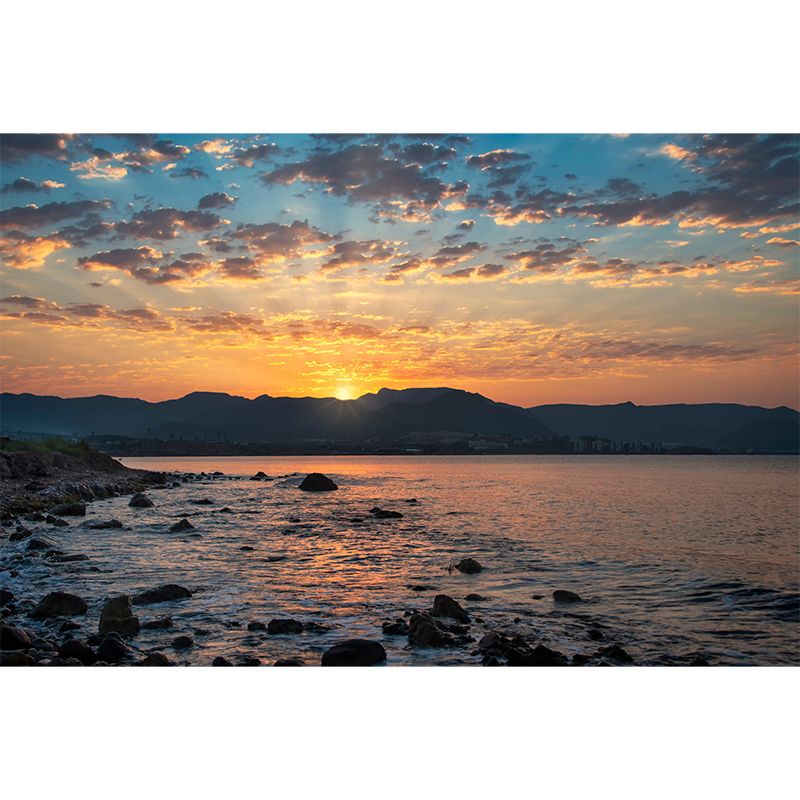 Beautiful Sea Mural Horizontal Photography Modernism Wall Decor for Living Room