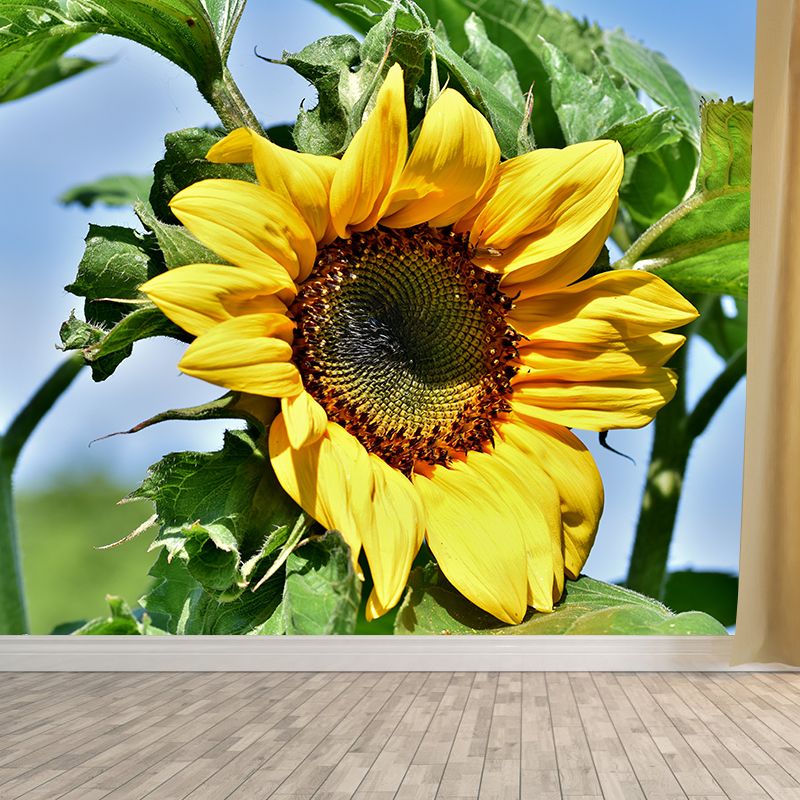 Alive Sunflower Mural Decal in Yellow Moisture Resistant, Custom Size Available