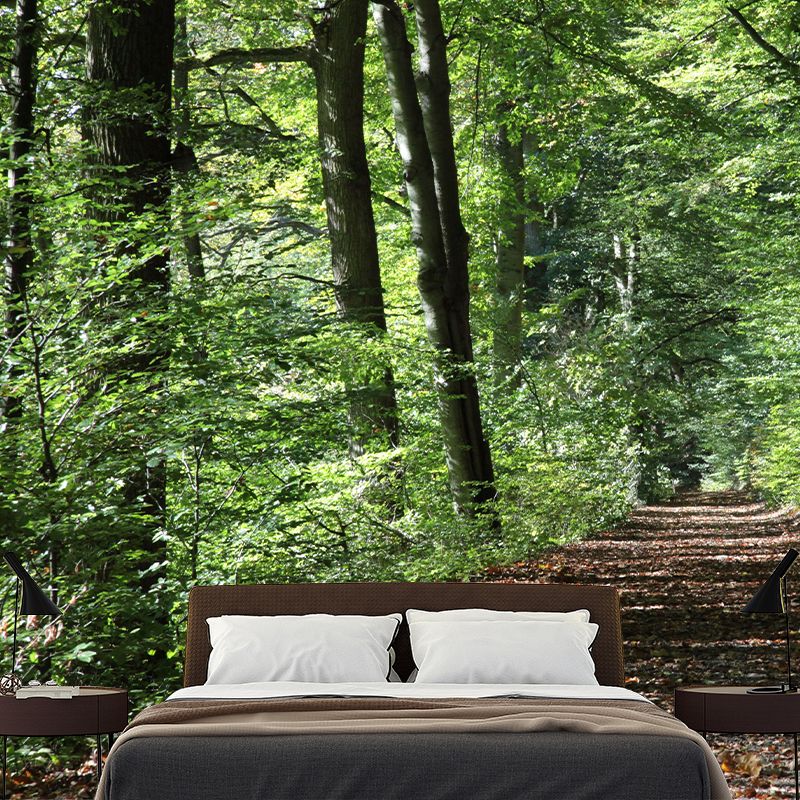 Contemporary Photography Landscape Wall Mural Decorative Wall Mural for Bedroom