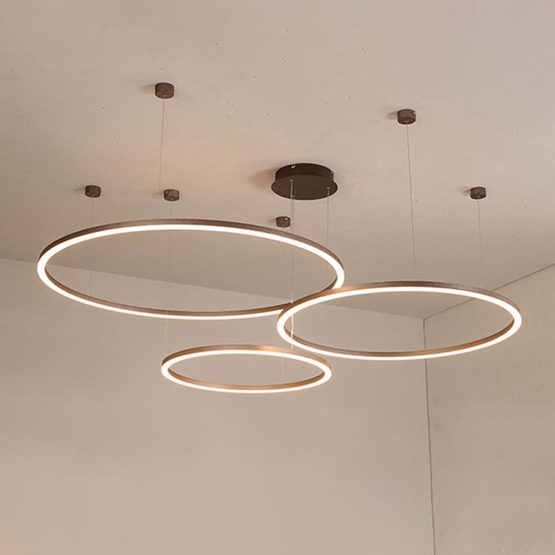 Modern Orbicular Pendant Lighting Fixtures Metal Pendant Chandelier