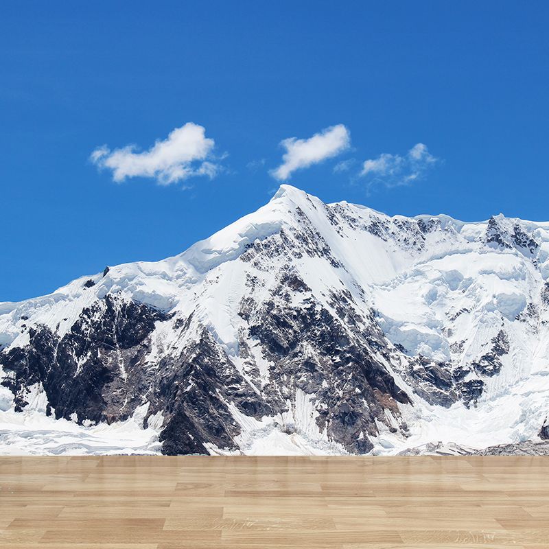 Magnificent Mountain View Removable Wall Mural Bedroom Wall Covering, Optional Size