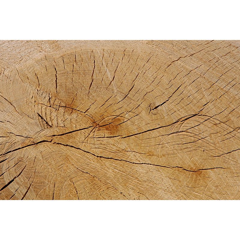 Room Wall Mural Industrial Wood Texture Decorative Eco-friendly Wall Covering