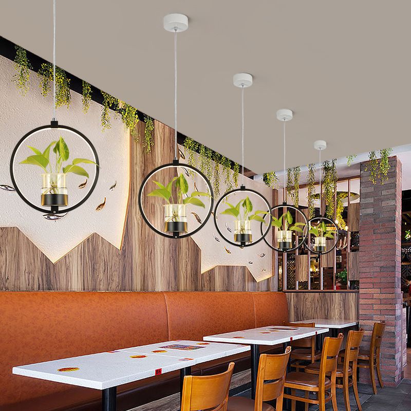 Modern Metal Hanging Lamp 1 Light Pendant Light for Dining Table  (without plants)